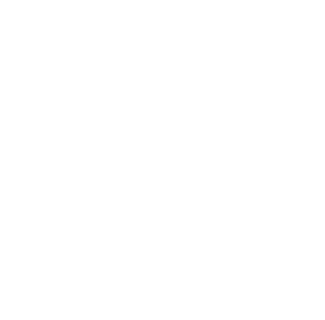 Raw Deli Logo White